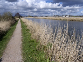 Exeter Canal south of Exeter,