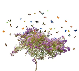 Abwaschbare Fototapete Lila lila blühender Baum und Schmetterlinge auf weiß