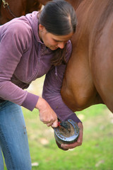 Horse riding