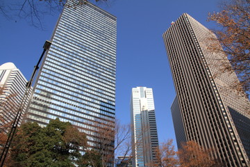 Fototapeta premium 新宿西口の超高層ビル群