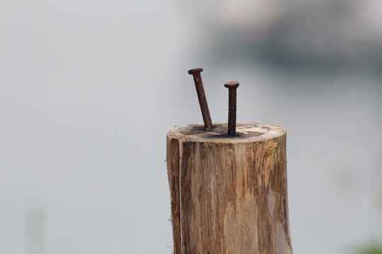 Chiodi nel legno