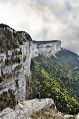 Tooth of wolf, natural park of Vercors,France