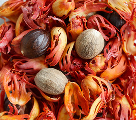 Muscat nuts