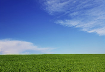 Background image of grass field under blue sky