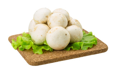 Raw Champignons