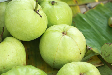 Guava fruit in the market
