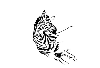 zebra tridimensionale