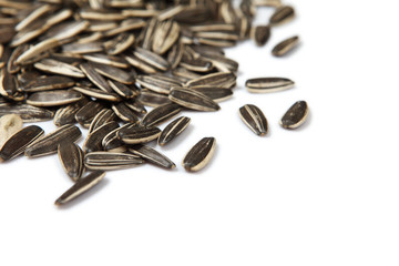 Sunflower Seeds