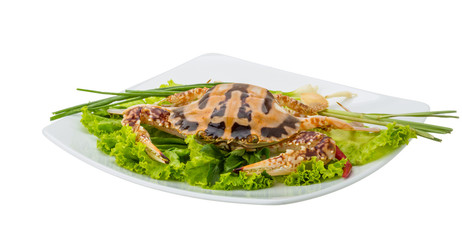 Raw red crab