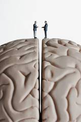 Business figurines placed on a brain model