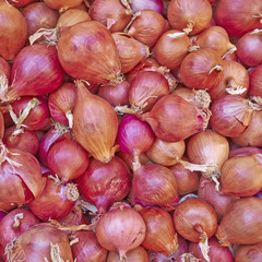 organic onions for sale, natural background