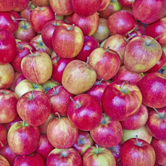 fresh apples for sale, juicy background