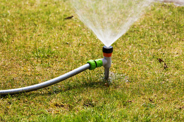 Naklejka premium Can I install sprinkler in the grass.