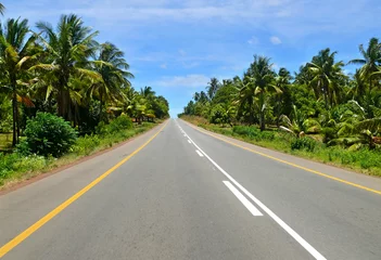 Foto op Plexiglas The road through the jungle. Africa, Mozambique. © svetlana485