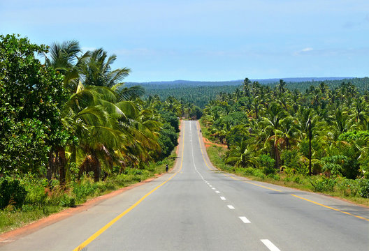 The road through the jungle. Africa, Mozambique.