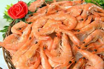 Crevettes Roses