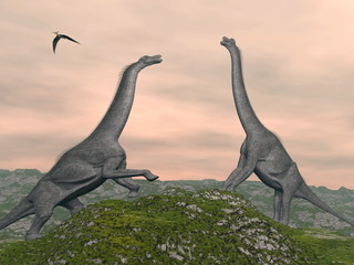 Brachiosaurus dinosaurs fight - 3D render © Elenarts