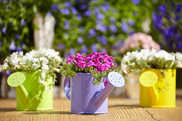 Outdoor gardening tools on old wood table