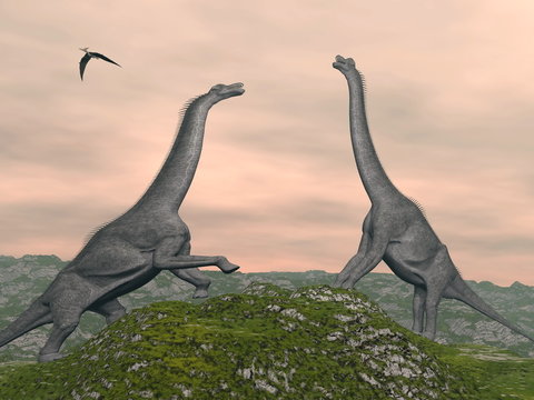 Brachiosaurus dinosaurs fight - 3D render
