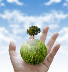 Holding a glowing globe and tree in hand