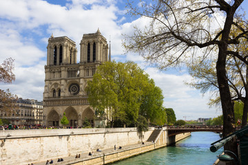Obraz premium Parigi, vista di notre dame