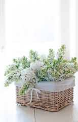 white lilac flowers in a wicker basket