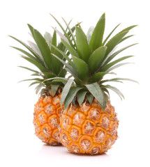 Pineapple tropical fruit or ananas