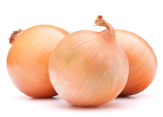 Gold onion vegetable bulbs