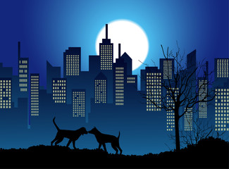 coppia di cani sotto la luna piena © passiflora70