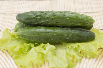 fresh cucumbers with lettuce