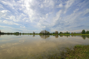 Sauvie Island Wildlife Area