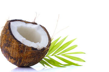 Coconut with leaves on a white
