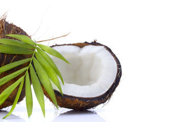 Coconuts with leaves on a white