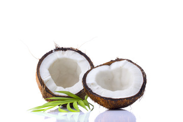 Coconuts with leaves on a white background