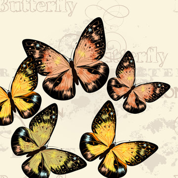 Fashion vector  pattern  with butterflies