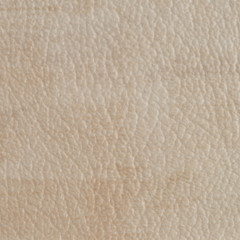 Brown vinyl texture