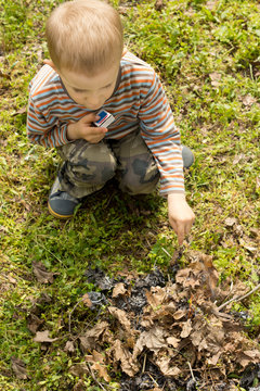 Little boy setting alight to twigs and leaves