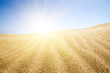 Sand dunes stretching into the distance.