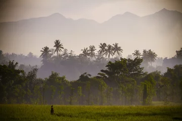 Sierkussen Uitzicht op de Rinjani-vulkaan op het eiland Lombok, Indonesië. © trubavink