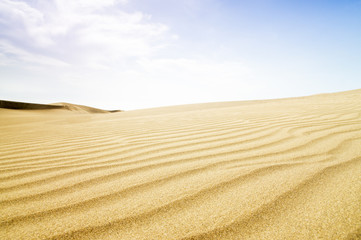 Sand dunes in sunny day.