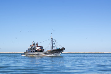 Fishing schooner comes into the port is full of catch.