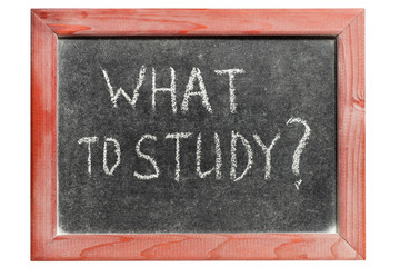 Fototapeta premium what to study
