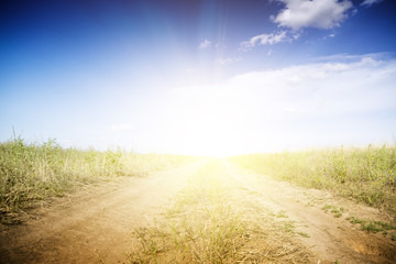Dirt road through the green fields.