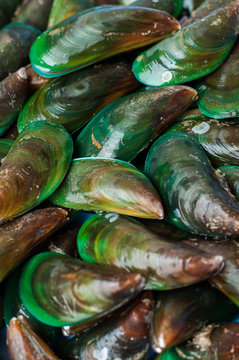 Asian green mussel was displayed and sale in Thailand street mar