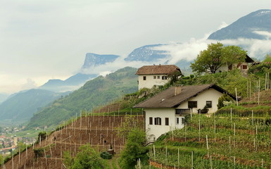 Meran Kurstadt Südtirol