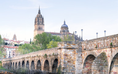 Fototapeta na wymiar bridge leading to the Cathedral in Salamanca