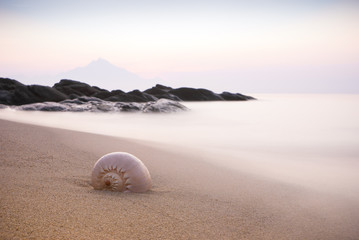 Tranquil Beach Scenes