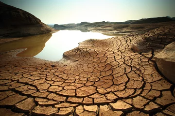 Fotobehang Dry land © lukchai