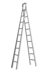 ladder