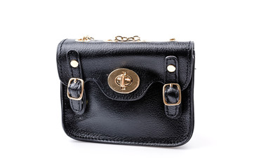 Handbag isolated white background